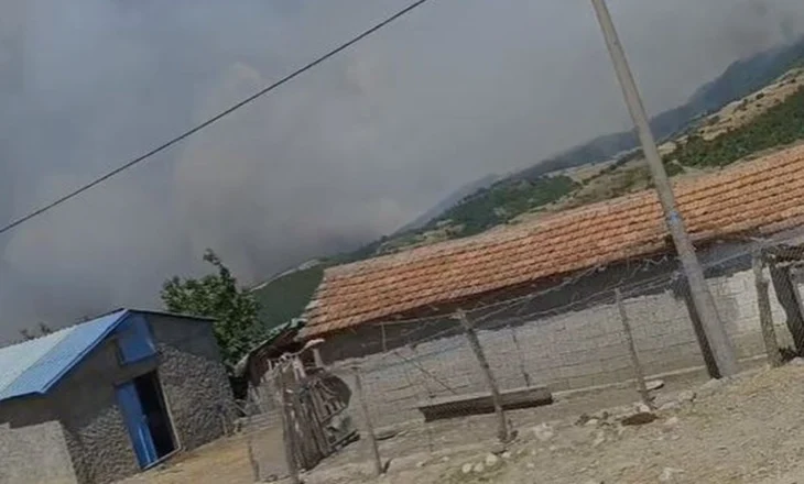 Zjarret rrethojnë fshatrat në Gramsh, gruaja me dy fëmijë bllokohet në një fermë