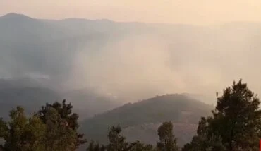 Zjarri del jashtë kontrrollit në 4 fshatra të Poliçanit, po u afrohet banesave dhe zonës së mbrojtur