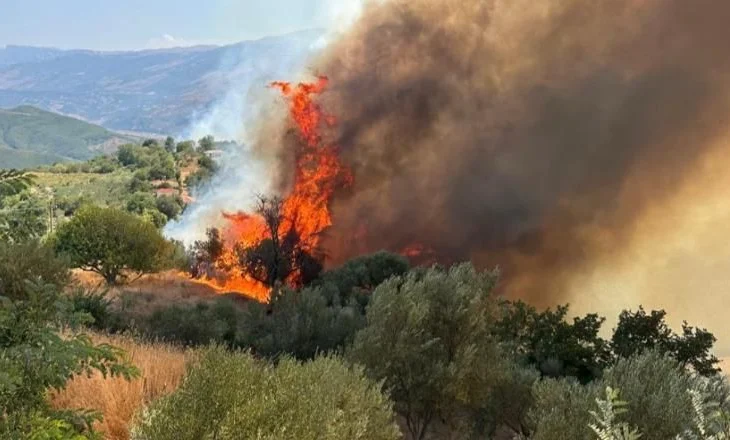 Zjarri i Gramshit tmerron banorët, ngrihen kampe në qytet