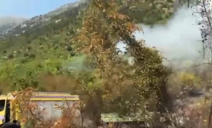 Zjarri masiv në Tragjas, flakët rrezikojnë banesat, ndërhyrja në terren e vështirë