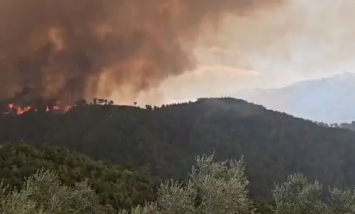 Zjarri në Gërmenjë/ Përhapja e zjarrit ‘niset’ drejt territorit grek, terreni i rrezikshëm, shkak shpërthimi i minave