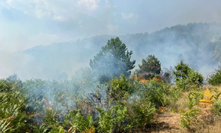 Zjarri në Gramsh, flakët përfshijnë vatra të reja, dëme të mëdha në banesa dhe blegtori