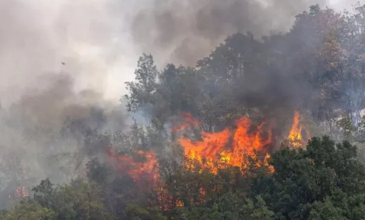 Zjarri në malin e Skërficës, rrezikohet të përhapet edhe në Gjirokastër. Kërkohet ndërhyrje nga ajri