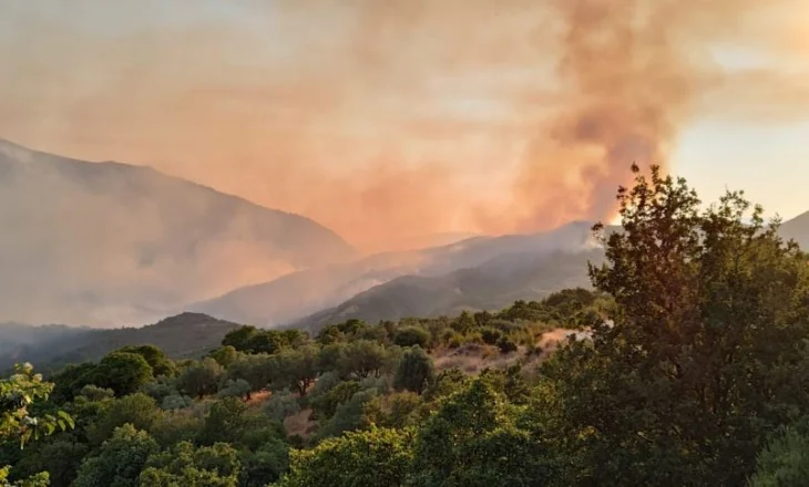 Zjarri në Syrin e Kaltër zhvendoset drejt fshatit Pecë, rrezikohen banesat