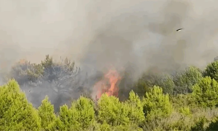 Zjarri në Vlorë/ Kryebashkiaku: Presim ndihmë  nga forcat e armatosura