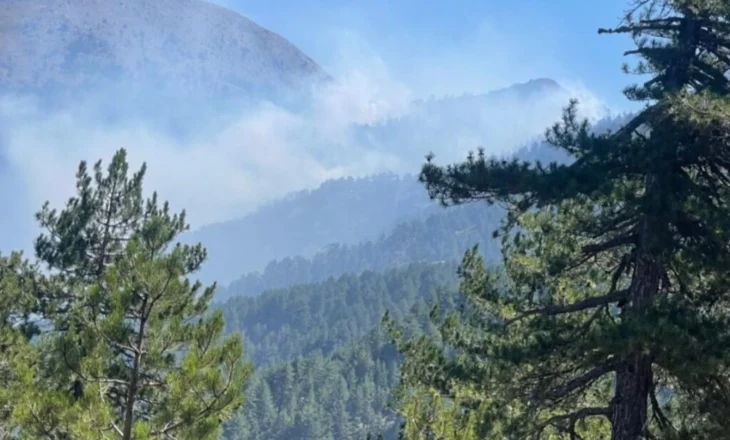 Zjarri në zonën e minuar pranë Parkut Natyror të Gërmjenit, forcat xheniere në…