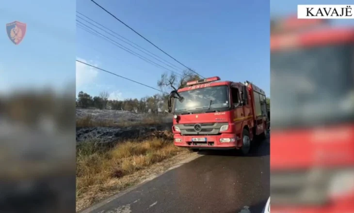 Zjarri përfshiu një sipërfaqe të madhe toke me pemë frutore, vihet në pranga autori në Kavajë