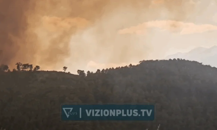 Zjarri përhapet me shpejtësi në disa fshatra, si paraqitet situata në Gramsh