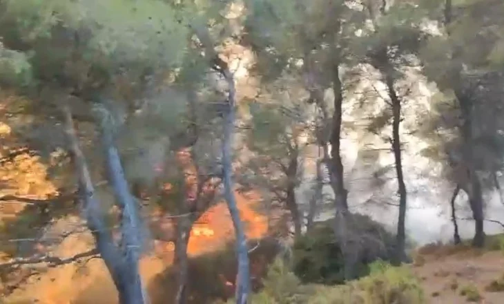 Zjarri pranë Lagunës së Nartës në Vlorë, 4 helikopterë në terren