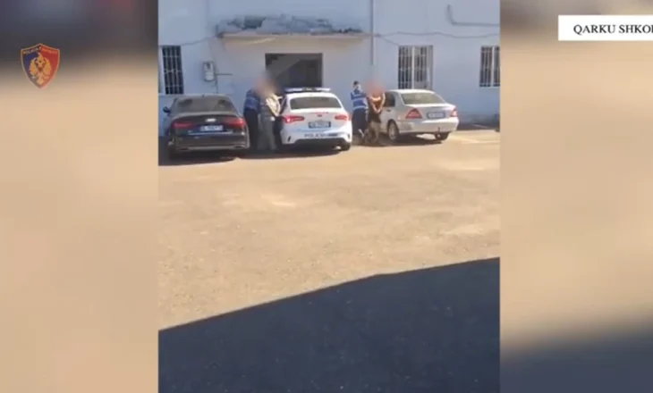 Asgjësohen mbi 1700 bimë kanabis sativa, arrestohen babë e bir në Shkodër, e pësojnë dhe 6 kryetarë fshatrash