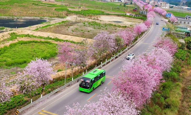 Autobusët e rinj me energji të re përbëjnë 82.7% të autobusëve publikë…