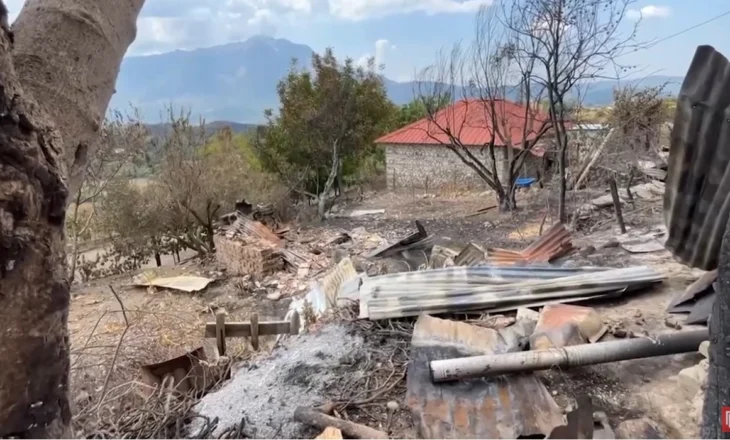 Bilanci i fshatit në Gramsh që “e zhduku” zjarri: 68 banesa dhe mijëra hektarë të djegura, 231 bagëti të ngordhura