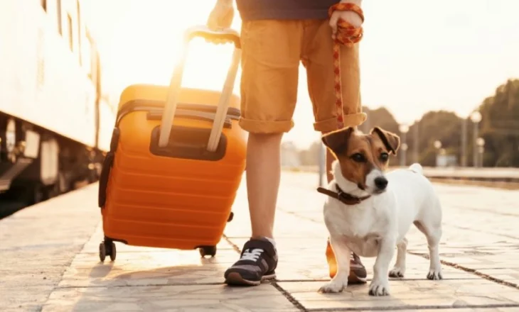 Destinacionet që pranojnë kafshë shtëpiake, zgjedhja e parë e pronarëve të qenve për pushime