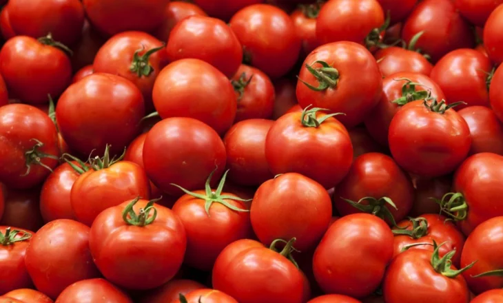 “Domatja do dashuri”, Braçe: Ndalni histerinë për helmim me pesticide