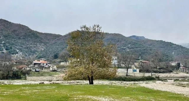 E rëndë/ Rrahu dhe keqtrajtoi nënën e tij, merret në hetim 60-vjeçari në Gjirokastër