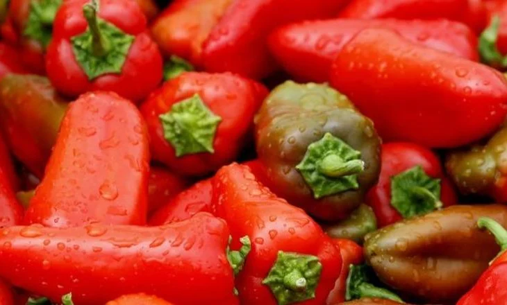 Edhe specat e kuq të eksportuara nga Shqipëria me pesticide, Sllovenia i tërheq nga tregu