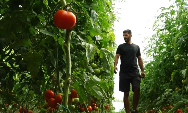 Efekti i “luftës” tregtare te fermerët/ Bujqit në Fier: Të huajt na faturojnë gjithçka ne shqiptarëve, kemi edhe pesticide jo efektive