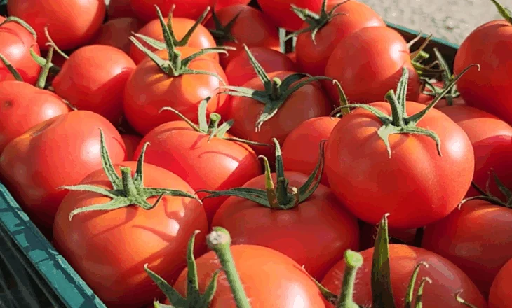 Ekskluzive/ Domatet shqiptare me nivele të larta pesticidesh, Prokuroria e Beratit firmos urdhër-arreste. Si produkti arriti të kalonte doganën me fatura fiktive