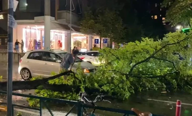 Era e fortë thyen degën e pemës në Tiranë, bllokohet pjesërisht qarkullimi në Rrugën e Elbasanit