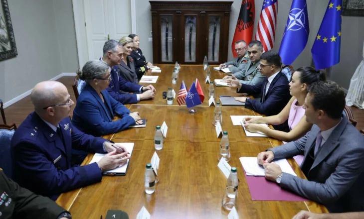 FOTO / Mbledhja e vendeve të Kartës së Adriatikut, Vengu pret gjeneralin amerikan