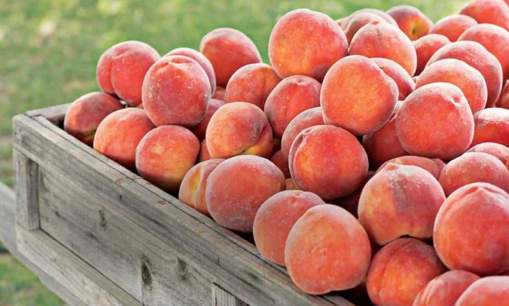 Fruta me pesticide, tonelata në treg/ U futën nga jashtë 18 tonë pjeshkë dhe rrush të ndaluara nga BE, asgjësohen vetëm 28 kg