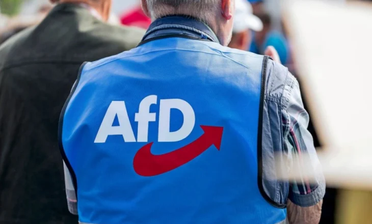 Gjashtë kandidatë të AfD-së humbin jetën para zgjedhjeve lokale në Gjermani