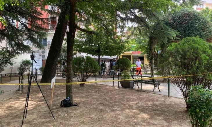 Kamarierja e plagosur aksidentalisht në atentatin e 8 shtatorit/ Familjarët apelojnë për ndihmë, ja thirrja e tyre