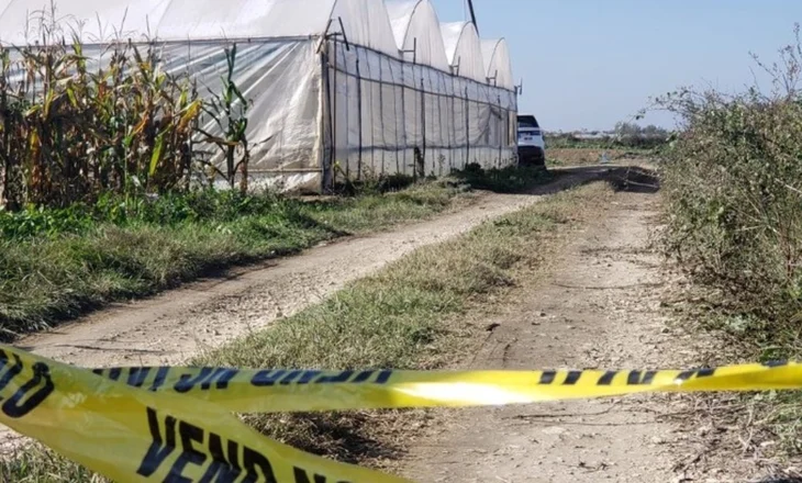 Kanabisi në serat e Beratit, kalon për gjykim dosja për 17 të pandehurit