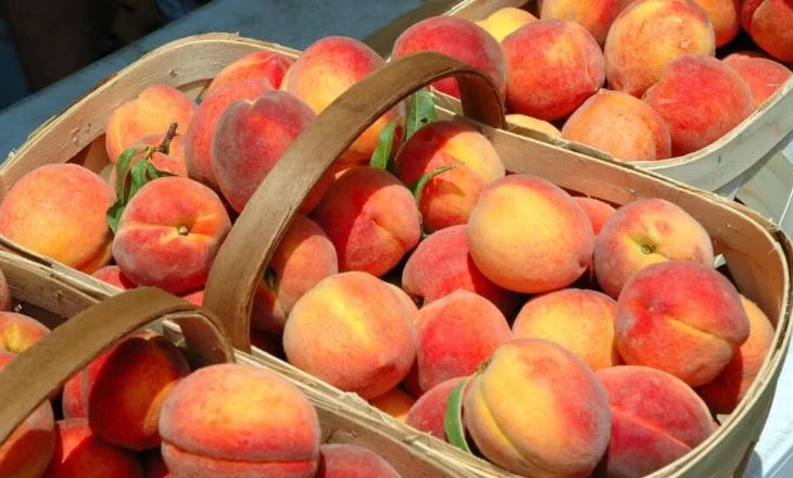 Kroacia dhe Bosnje-Hercegovina bllokojnë pjeshkët nga Shqipëria, ja arsyeja