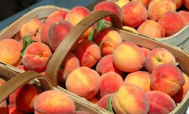 Kroacia dhe Bosnje-Hercegovina bllokuan pjeshkët me pesticide, AKU: 5 mijë kg e eksportuara u asgjesuan