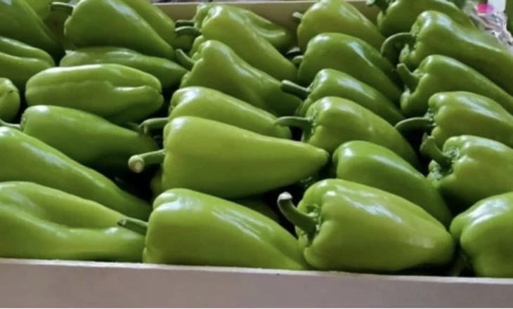 Lufta me insektet që helmon perimet/ Specat e ndaluar në Slloveni, fermerët nga Fieri gabuan dozat dhe mbingarkuan produktin