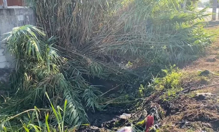 Makina përfundoi në kanal, detaje nga aksidenti fatal, ja kush është viktima dhe të plagosurit (Emrat)