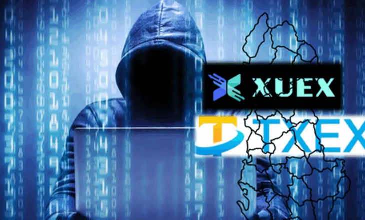 Miliona euro të humbura- Firmat piramidale online, Policia ‘zbarkon’ në Divjakë e Lushnjë, 6 të arrestuar, 2 në kërkim