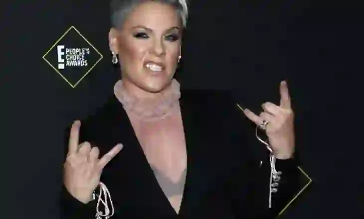 Pink i shqetëson fansat, shfaqet me një injeksion intravenoz