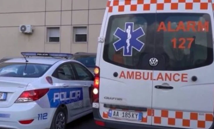 Plagosje me thikë në Mallakastër, autori në kërkim