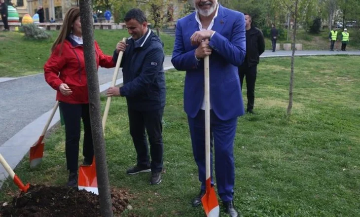 Rama imiton Velianj: Një pemë për çdo karrige që lokalet duan të mbajnë në hapësirat publike