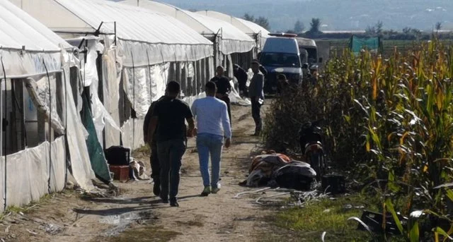 Serat me kanabis në Berat, GJKKO kalon për gjykim dosjen me 17 të pandehur