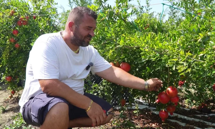 Shega e mrekullive, historia e emigrantit nga Luzi i Vogël që tregton produktin bio në Europë
