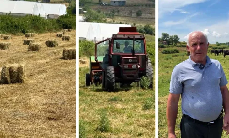 Shembull frymëzues nga Zall-Herri: Mehmet Kadiu, fermeri që ktheu pasionin në zhvillim rural
