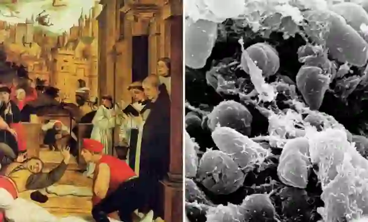 Shkencëtarët gjejnë burimin e pandemisë së parë në historinë e njerëzimit