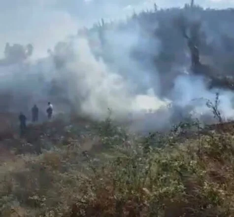 Situatë alarmante/ Shkrumbohen dhjetëra banesa, mijëra hektarë me dru frutorë dhe pyje, tetë vatra zjarri në qarkun e..