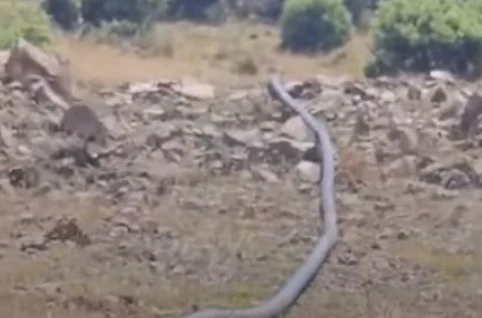 Skandal në Klos/ Ujëmbledhësi mbushet në mënyrë të dyshimtë, banorët alarmohen