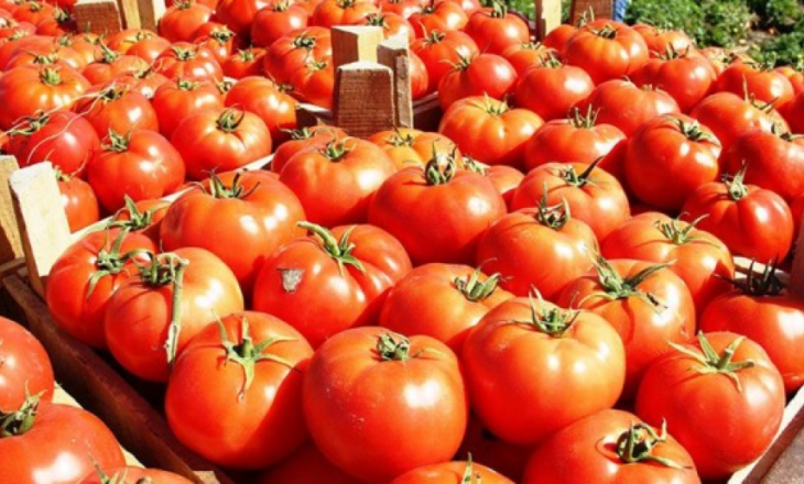 Skandali i domateve me pesticide/ Arrestohen tre persona në Berat, dy prej tyre inspektorë të AKU (Emrat)