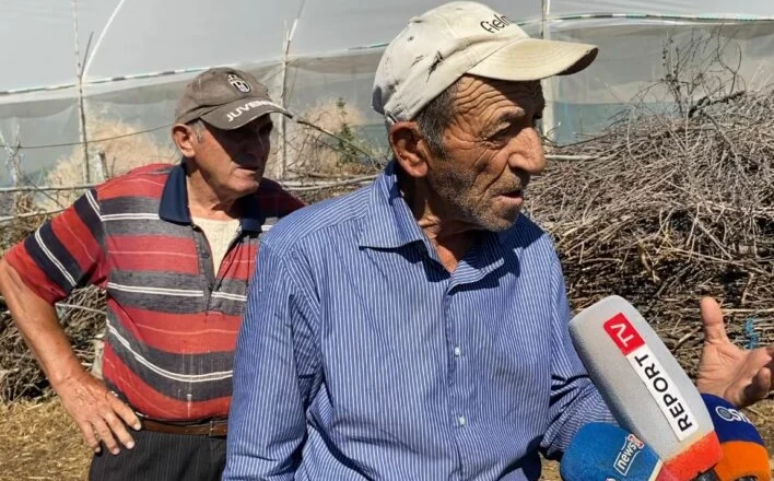 “U shkaktuan dëme të mëdha”/ Ujku bën kërdinë në Lushnjë, sulmon 80 dele e dhi, banorët reagojnë të tmerruar