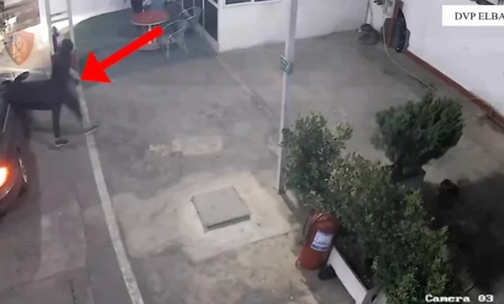 VIDEO/ Grabitën xhiron ditore të një karburanti, arrestohen “Hijet” në Elbasan (EMRAT)