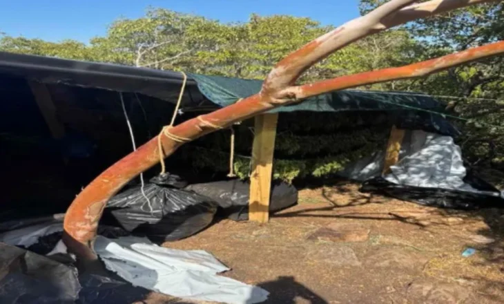 VIDEO/ Zbulohen 1.1 ton marijuanë dhe arsenal armësh në Greqi. Në pranga 6 shqiptarë, mes tyre gruaja 73-vjeçare
