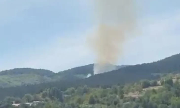 VIDEO/ Zjarr i madh në pyllin me pisha ndërmjet Dibrës dhe Kukësit