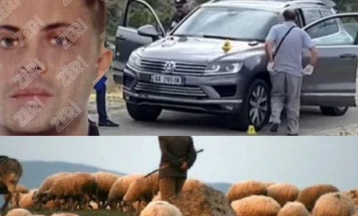 Vrasja e biznesmenit italian në Tepelenë/ Zbardhet roli i bariut në ngjarje, çfarë dëshmoi ai në polici?