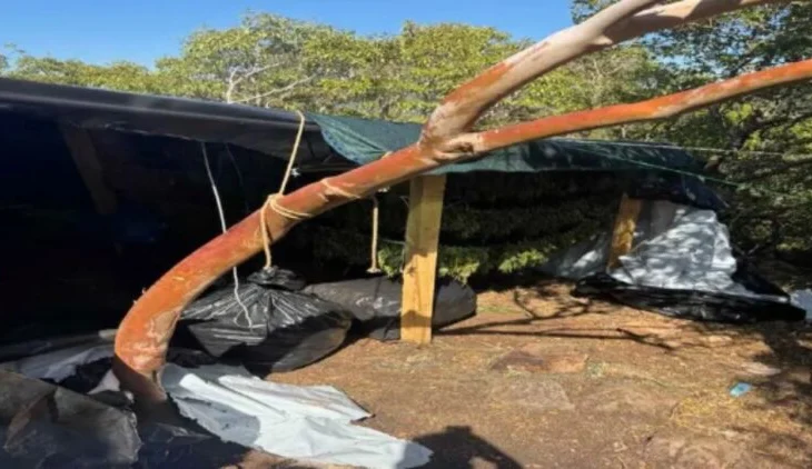 Zbulohen 1.1 ton marijuanë dhe arsenal armësh në Greqi, arrestohen 6 shqiptarë (EMRAT)
