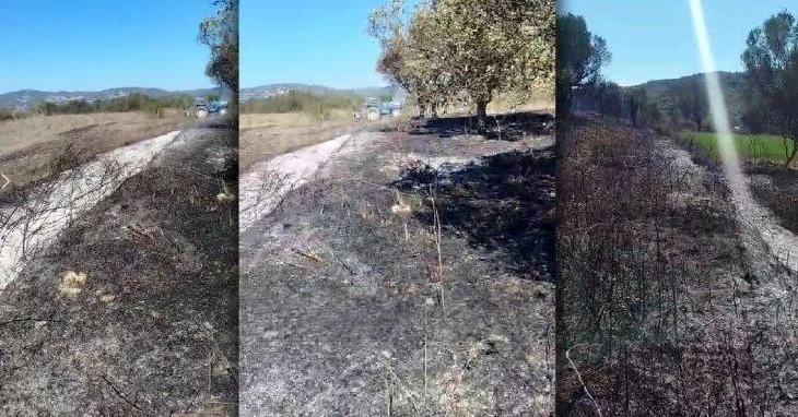 Zjarr në Mifol të Vlorës, digjen parcela me ullinj dhe kullota